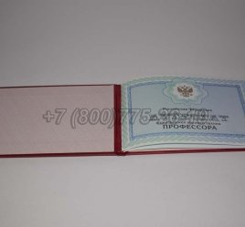 Аттестат Профессора 2023г в Махачкале