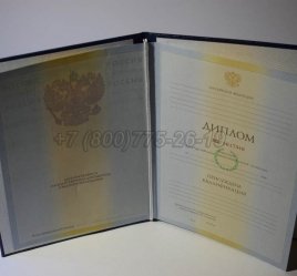 Диплом Института 2010г в Махачкале