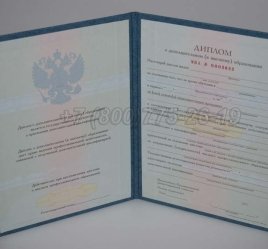 Диплом MBA 2023г в Махачкале
