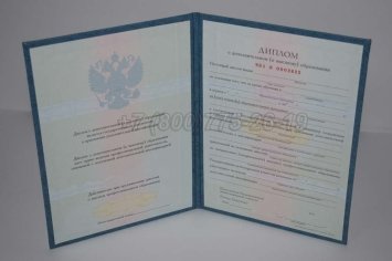 Диплом MBA 2023г в Махачкале