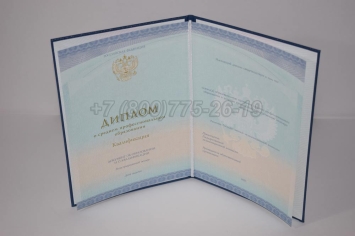 Диплом Техникума 2024г СпецБланк в Махачкале