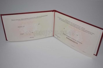 Диплом Кандидата Наук 2023г в Махачкале