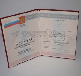 Аттестат За 11 Класс 2012г Серебро в Махачкале